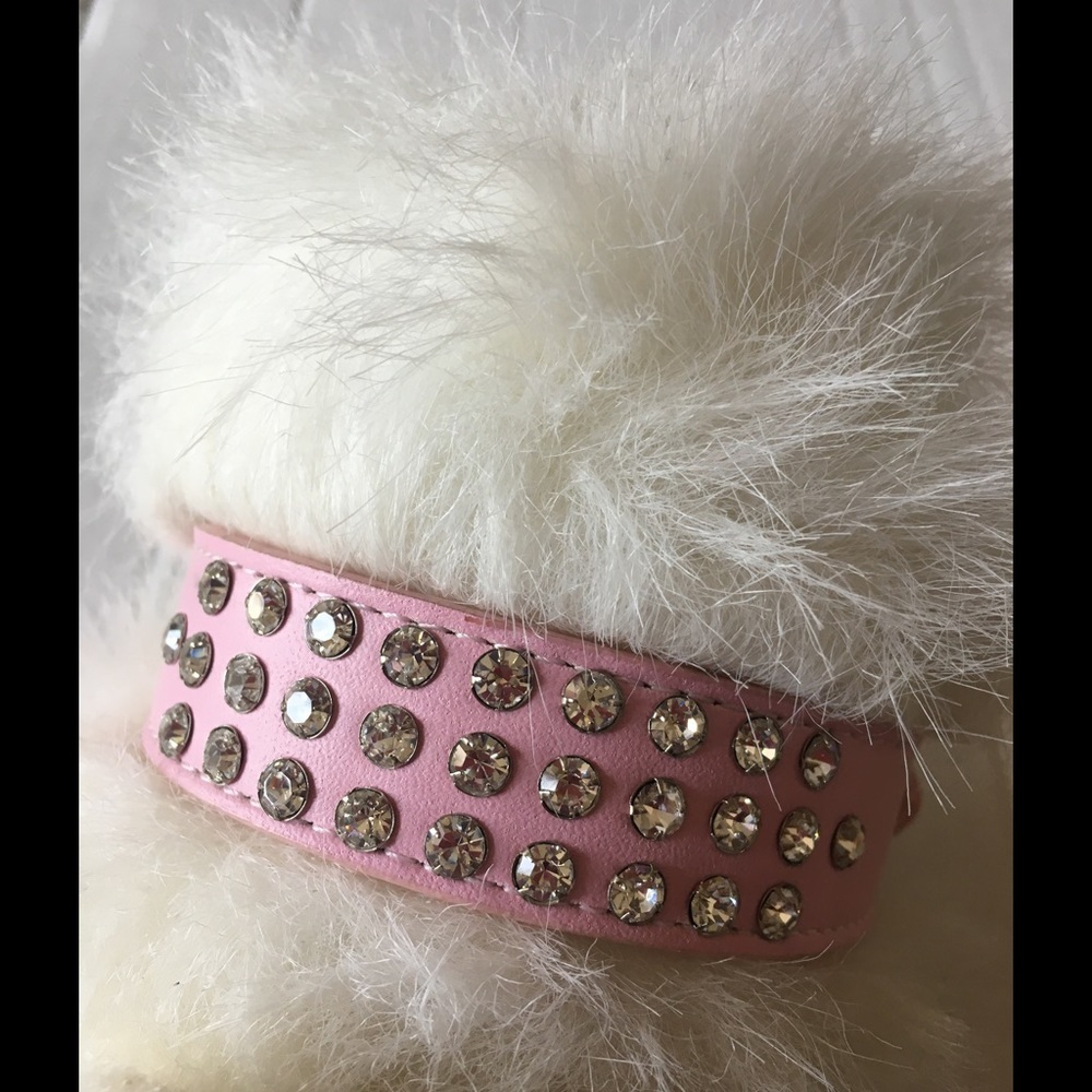 Statement Collar